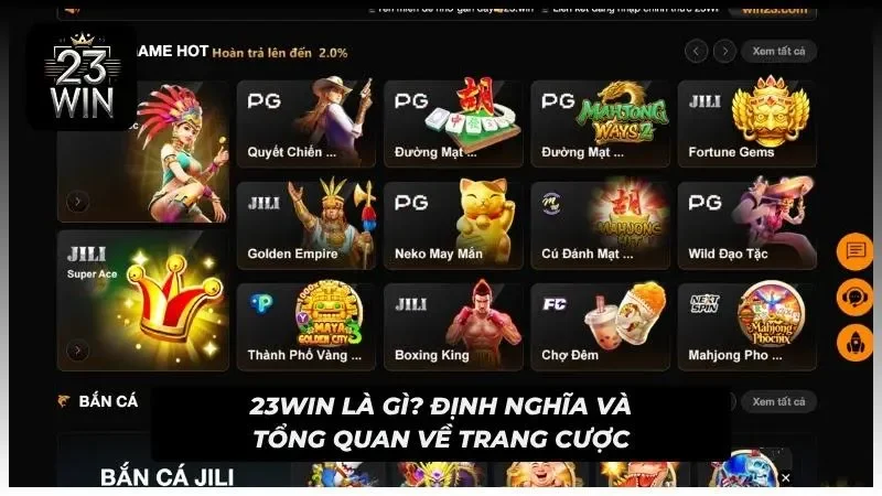Quy mô hoạt động được mở rộng theo nhiều thị trường khác nhau