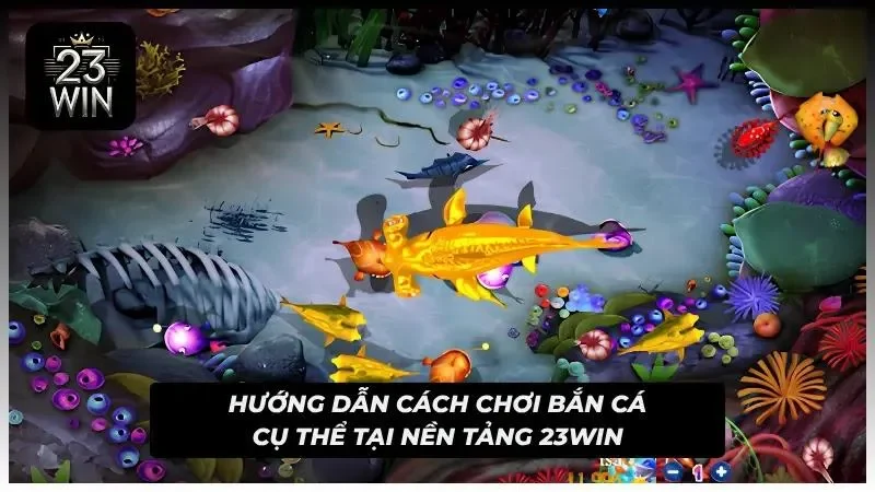 Cách săn sinh vật biển cực chuẩn