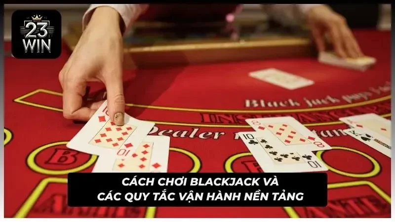 Các tụ cược ngẫu nhiên mang lại những phút giây thư giãn vô cùng kịch tính cho bạn