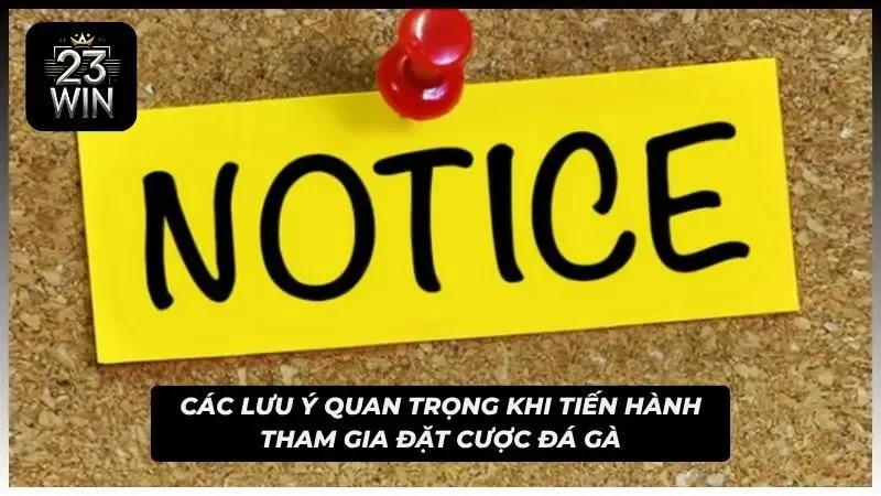 Những nguyên tắc cốt lõi giúp người chơi kiểm soát tốt hành vi giải trí của bản thân mình