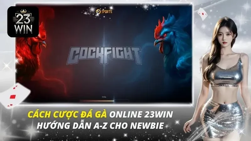 cách cược đá gà
