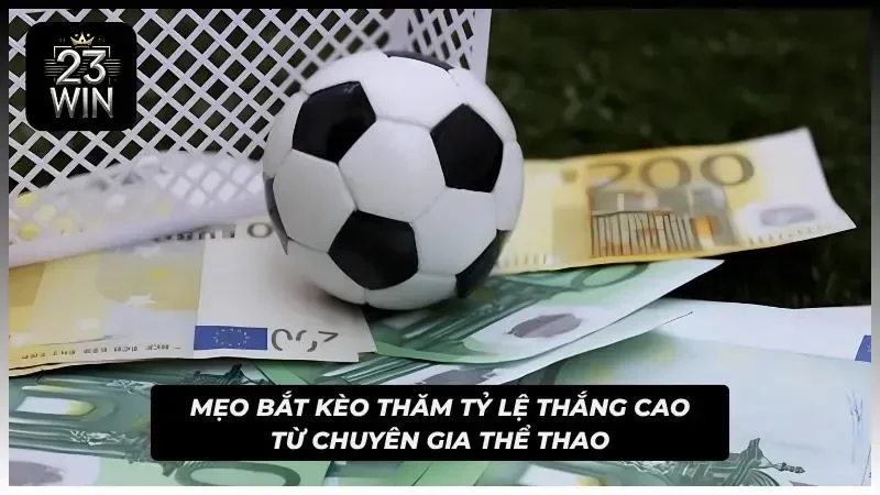 Tận dụng biểu đồ biến động odds để thực hiện cách soi kèo