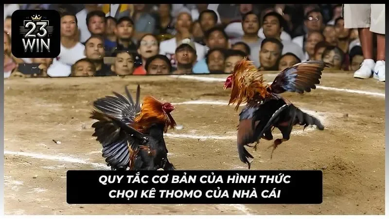 Luật chơi cơ bản nhất