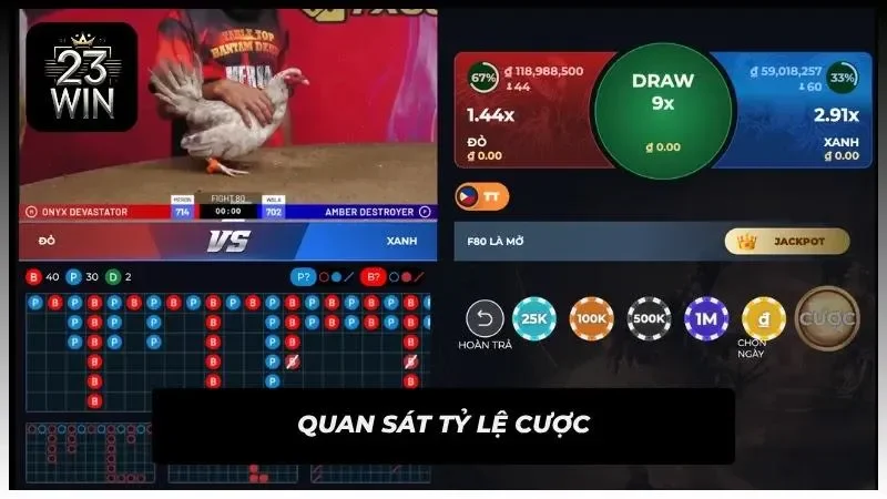 Quan sát tỷ lệ kèo Meron Wala
