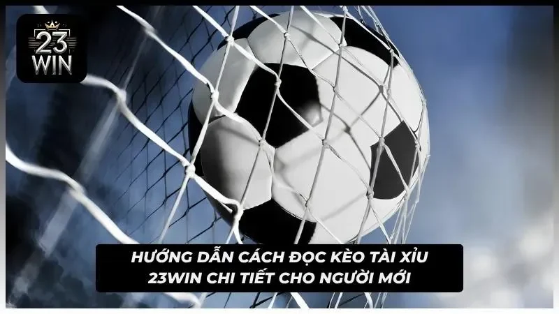 Hướng dẫn đọc kèo cực dễ dàng cho người mới